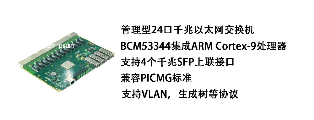 MST-CP63001